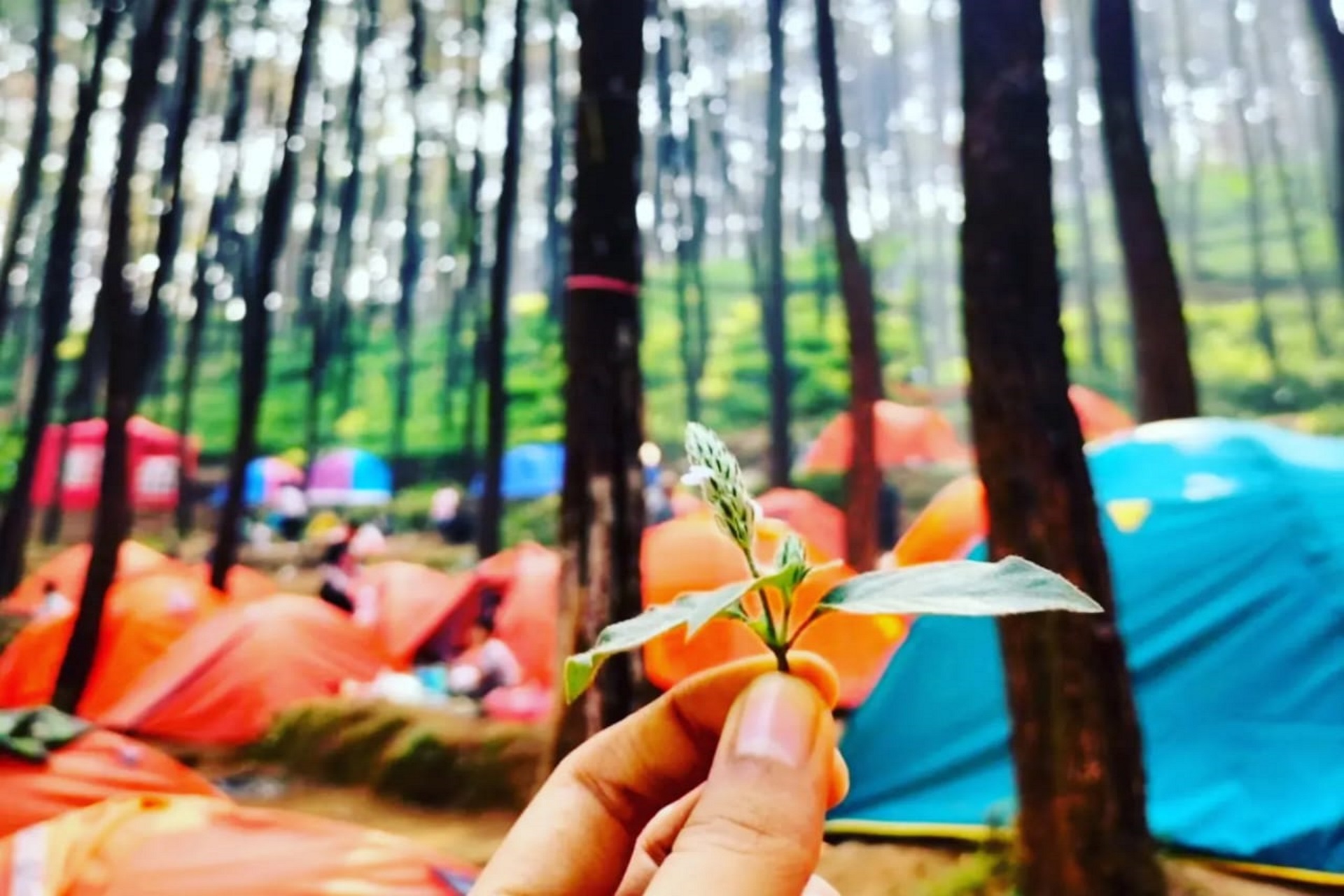 Klurak Eco Park di tahun 2025